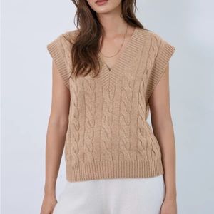Aritzia Babaton Sweater Vest